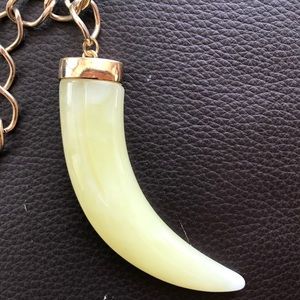 Horn necklace- NWT